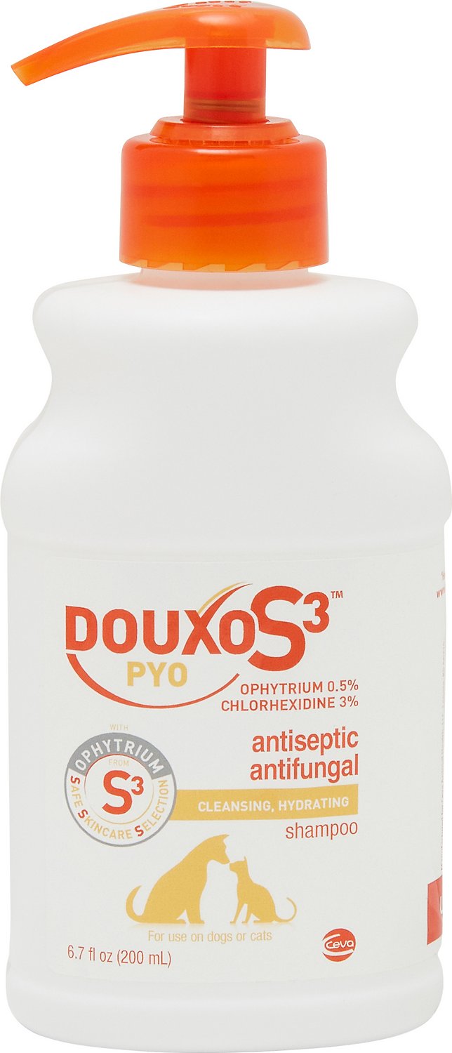 Douxo S3 PYO Shampoo